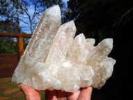 Terrific Cactus Lithium Quartz Cluster QTZ051