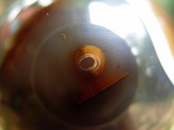 Sphere of Agate PLS014